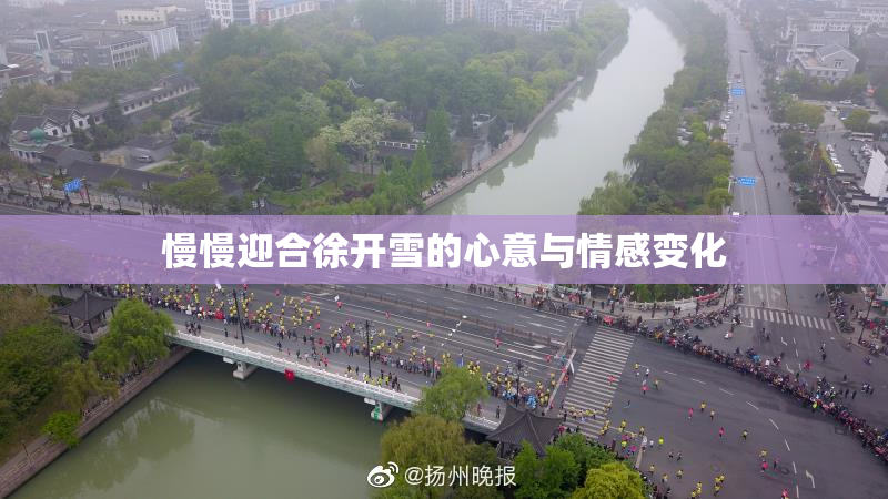 慢慢迎合徐开雪的心意与情感变化