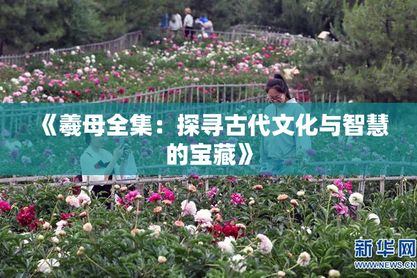 《羲母全集：探寻古代文化与智慧的宝藏》