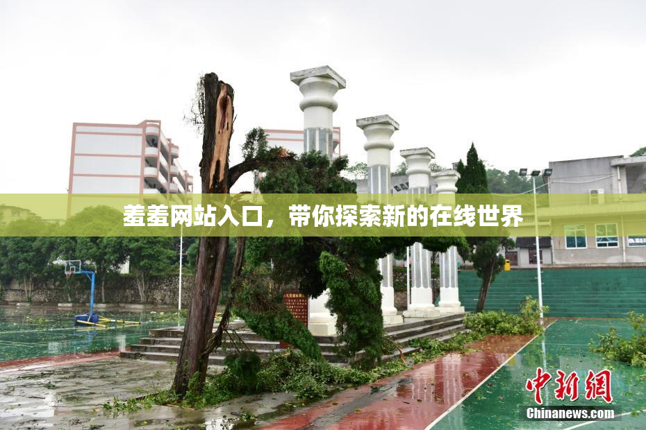 羞羞网站入口，带你探索新的在线世界