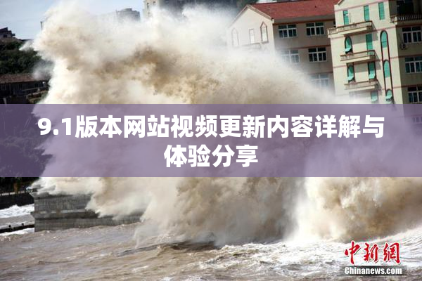 9.1版本网站视频更新内容详解与体验分享