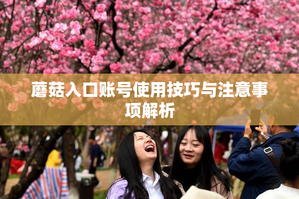 蘑菇入口账号使用技巧与注意事项解析