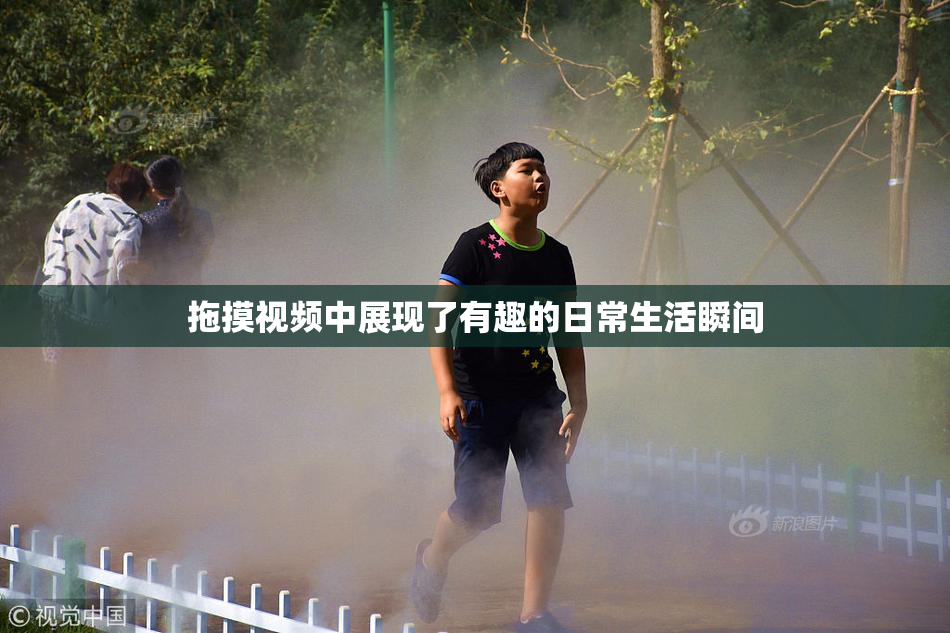 拖摸视频中展现了有趣的日常生活瞬间