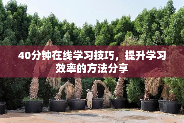 40分钟在线学习技巧，提升学习效率的方法分享