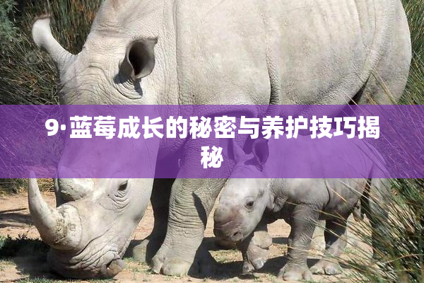 9·蓝莓成长的秘密与养护技巧揭秘