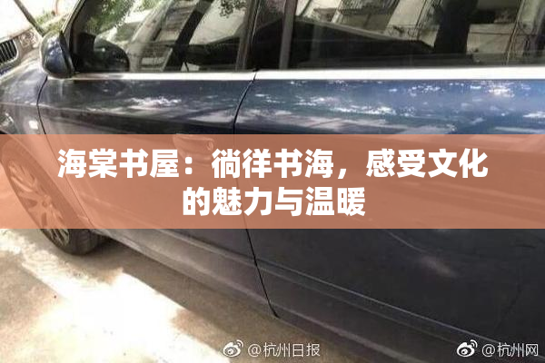 海棠书屋：徜徉书海，感受文化的魅力与温暖