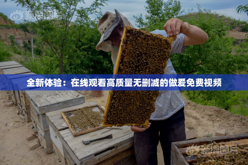 全新体验：在线观看高质量无删减的做爰免费视频