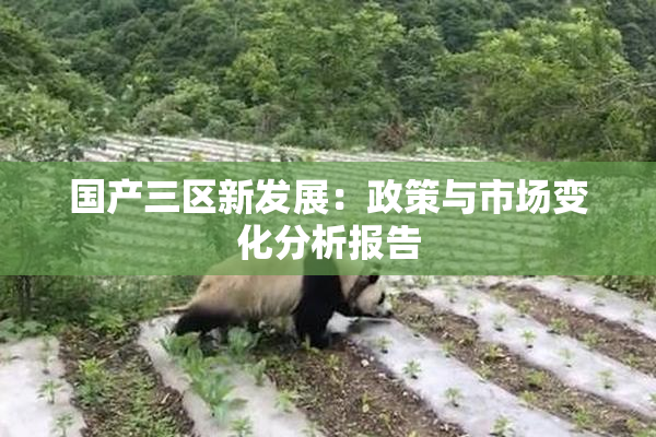 国产三区新发展：政策与市场变化分析报告