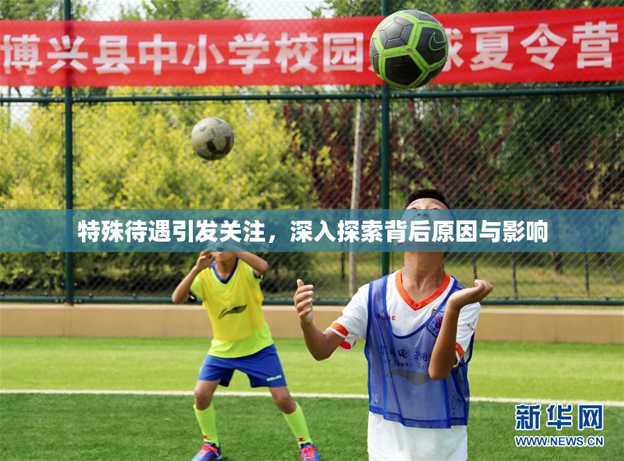 特殊待遇引发关注，深入探索背后原因与影响