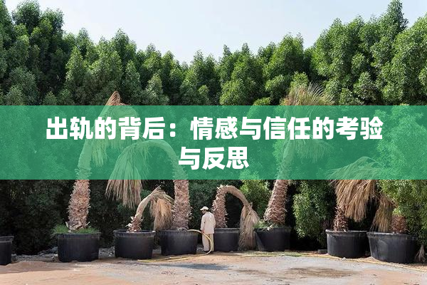 出轨的背后：情感与信任的考验与反思