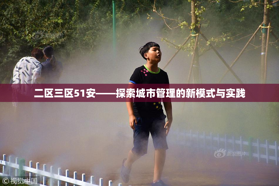 二区三区51安——探索城市管理的新模式与实践