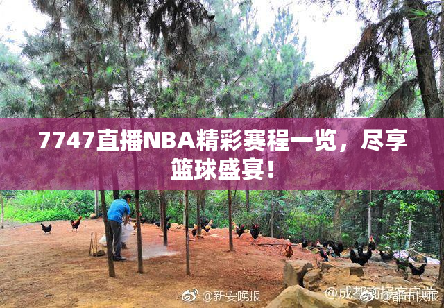 7747直播NBA精彩赛程一览，尽享篮球盛宴！