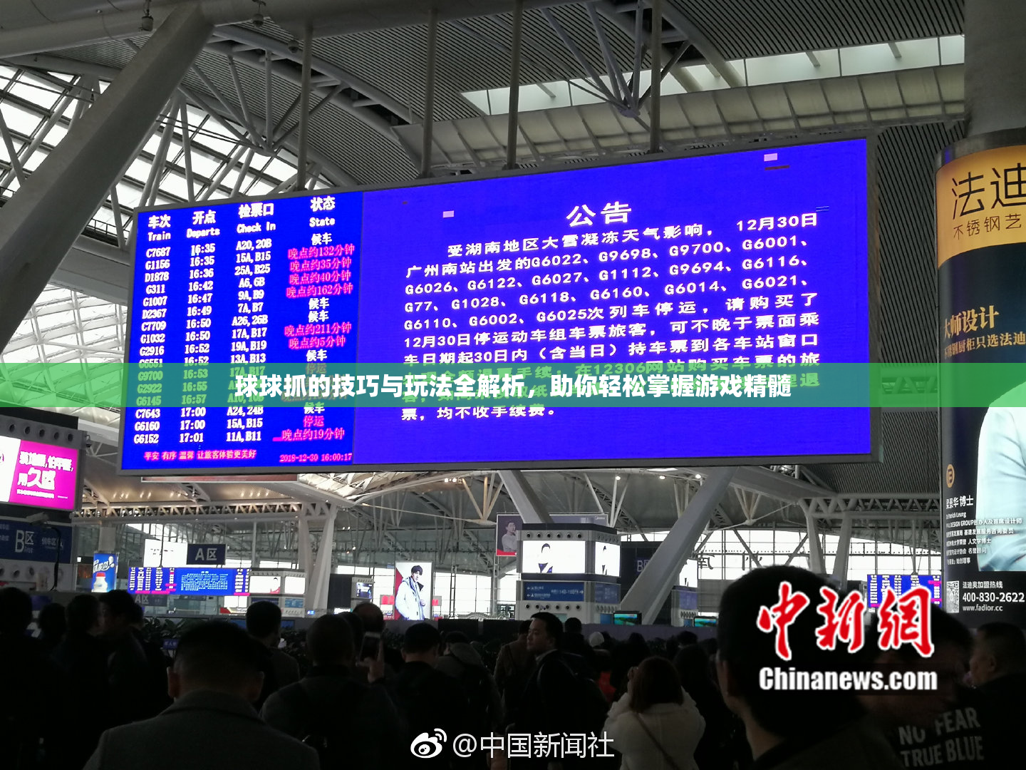 球球抓的技巧与玩法全解析，助你轻松掌握游戏精髓