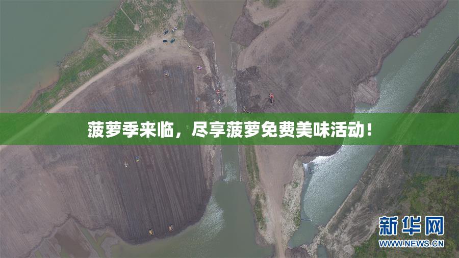 菠萝季来临，尽享菠萝免费美味活动！