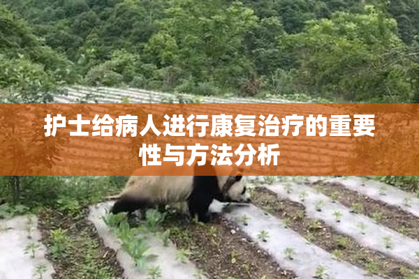 护士给病人进行康复治疗的重要性与方法分析