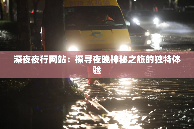 深夜夜行网站：探寻夜晚神秘之旅的独特体验
