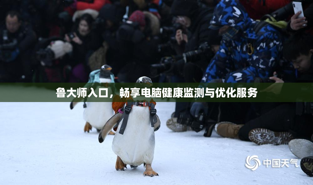 鲁大师入口，畅享电脑健康监测与优化服务