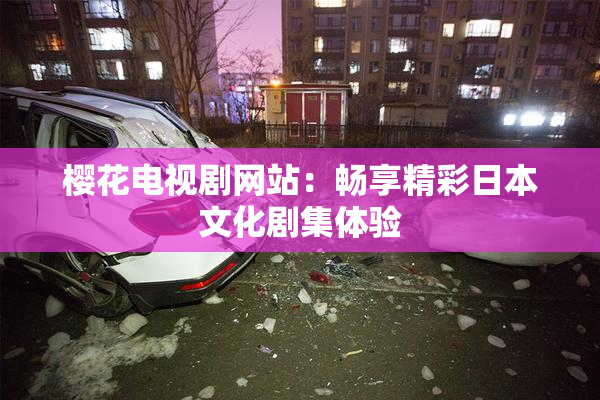 樱花电视剧网站：畅享精彩日本文化剧集体验