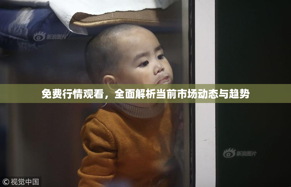 免费行情观看，全面解析当前市场动态与趋势