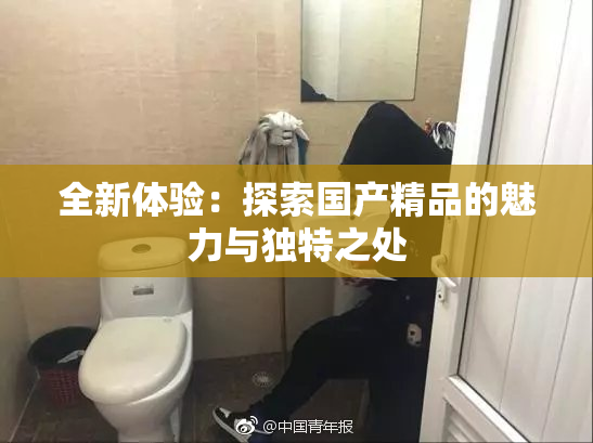 全新体验：探索国产精品的魅力与独特之处