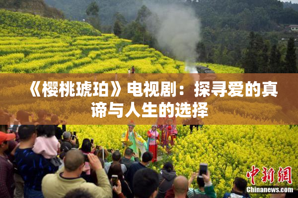 《樱桃琥珀》电视剧：探寻爱的真谛与人生的选择