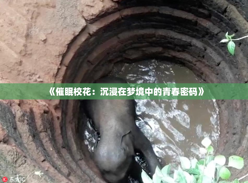 《催眠校花：沉浸在梦境中的青春密码》