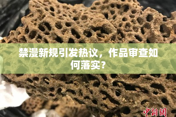 禁漫新规引发热议，作品审查如何落实？