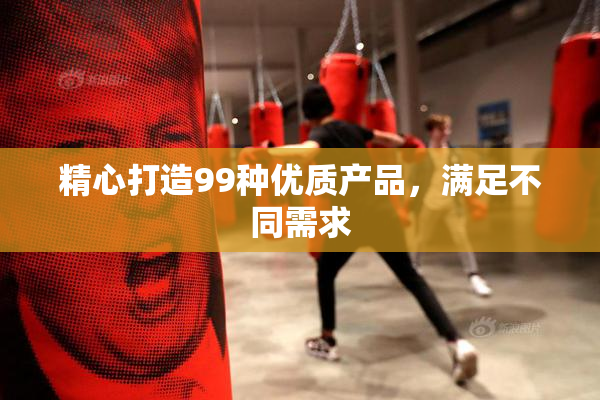 精心打造99种优质产品，满足不同需求