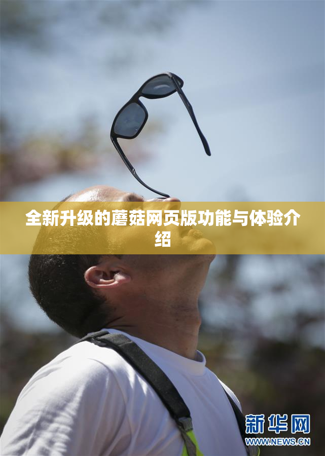 全新升级的蘑菇网页版功能与体验介绍