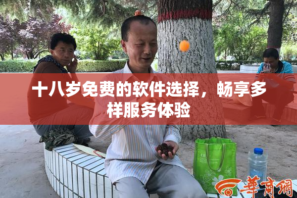 十八岁免费的软件选择，畅享多样服务体验