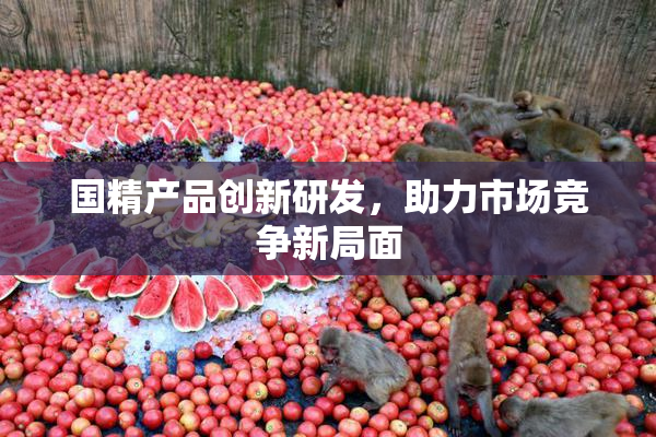 国精产品创新研发，助力市场竞争新局面