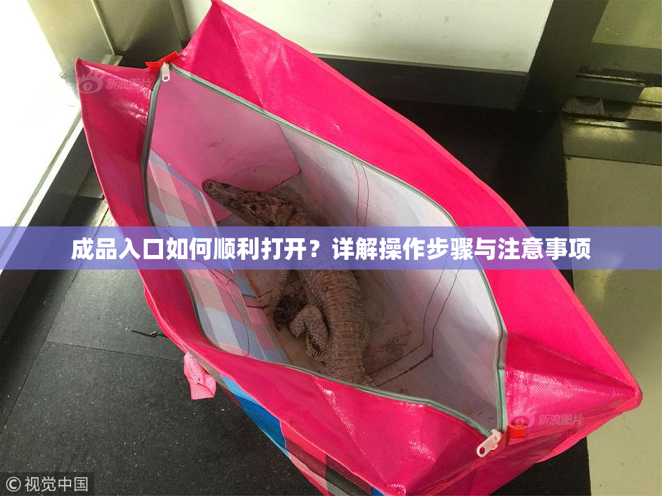 成品入口如何顺利打开？详解操作步骤与注意事项