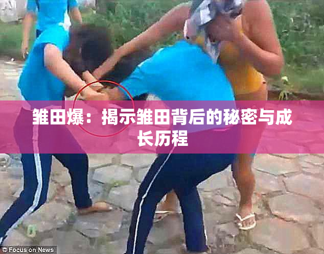 雏田爆：揭示雏田背后的秘密与成长历程