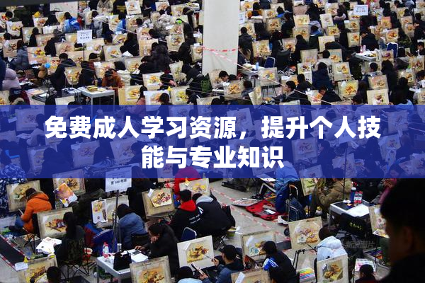 免费成人学习资源，提升个人技能与专业知识