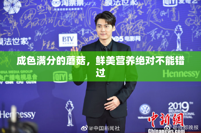 成色满分的蘑菇，鲜美营养绝对不能错过