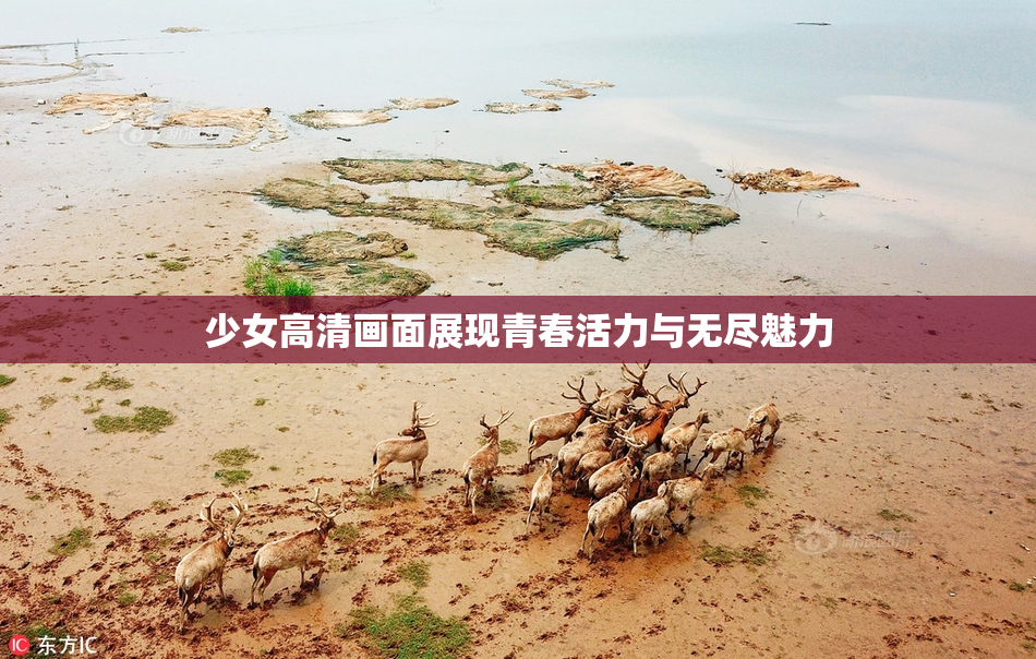 少女高清画面展现青春活力与无尽魅力