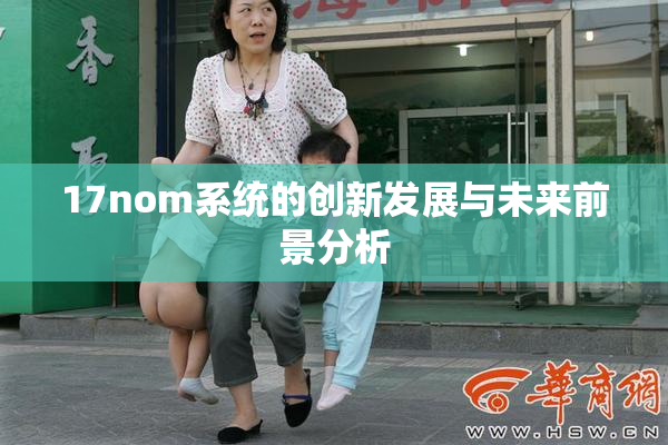 17nom系统的创新发展与未来前景分析