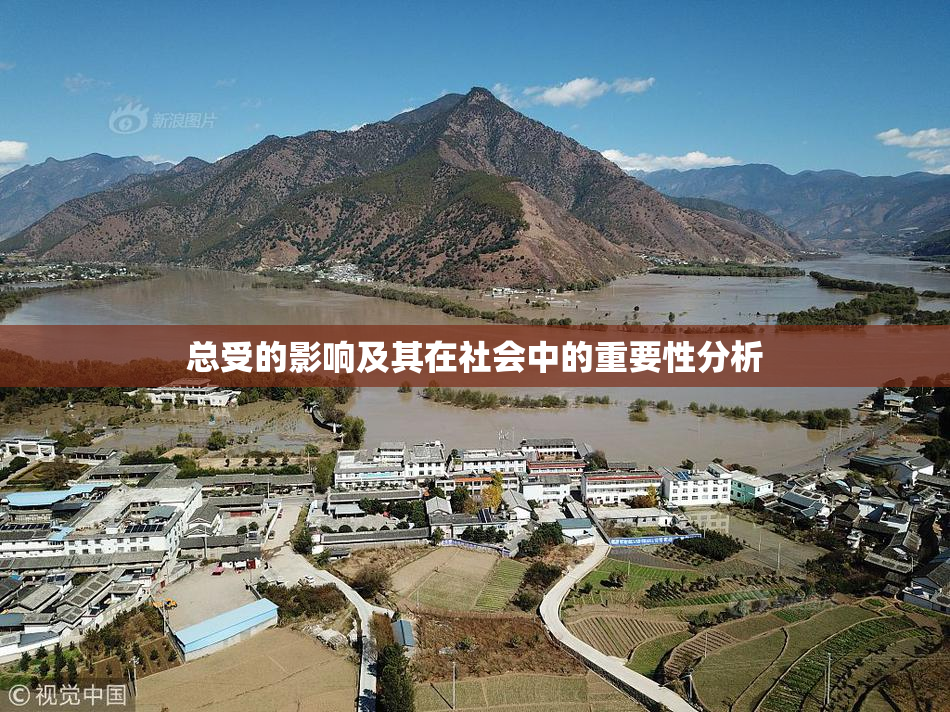 总受的影响及其在社会中的重要性分析
