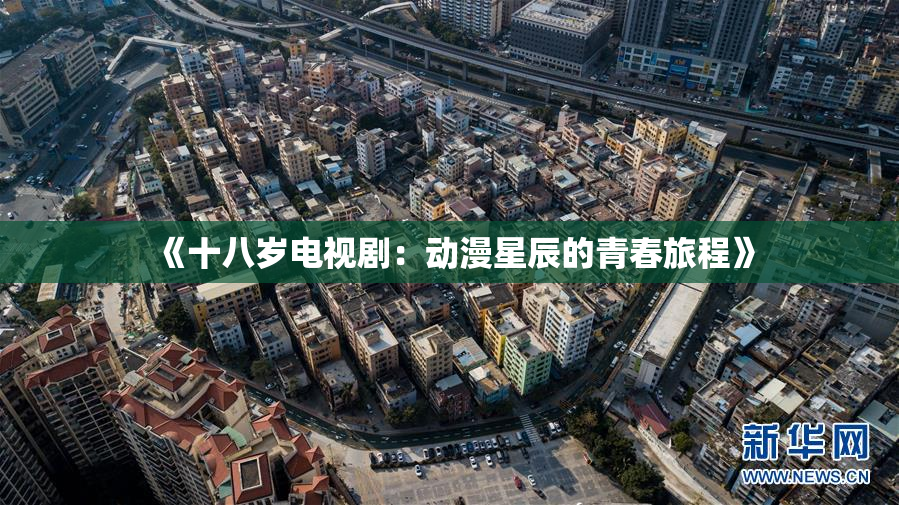 《十八岁电视剧：动漫星辰的青春旅程》