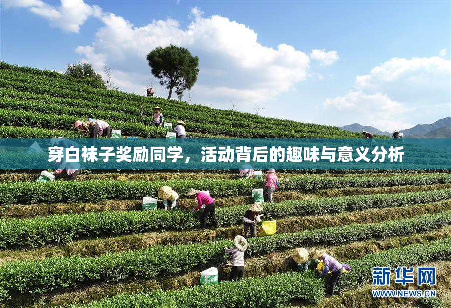 穿白袜子奖励同学，活动背后的趣味与意义分析