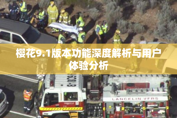 樱花9.1版本功能深度解析与用户体验分析