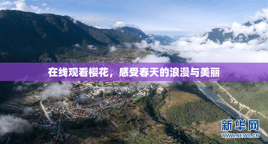 在线观看樱花，感受春天的浪漫与美丽