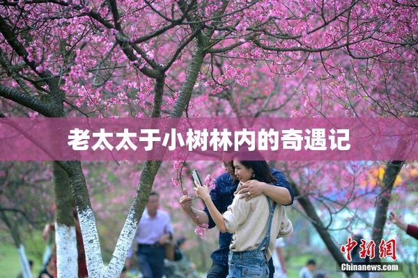 老太太于小树林内的奇遇记