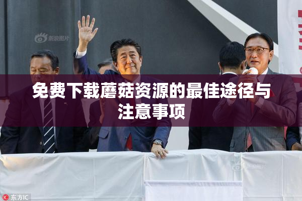 免费下载蘑菇资源的最佳途径与注意事项