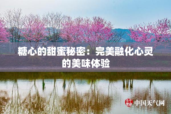 糖心的甜蜜秘密：完美融化心灵的美味体验