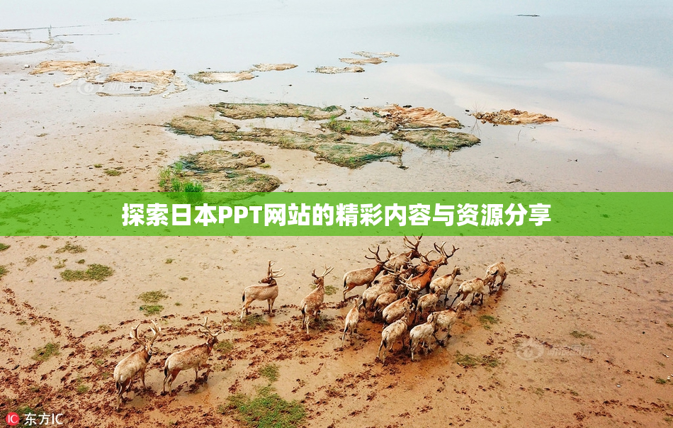探索日本PPT网站的精彩内容与资源分享