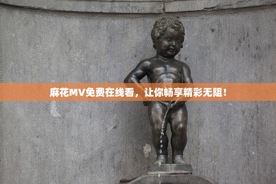 麻花MV免费在线看，让你畅享精彩无阻！