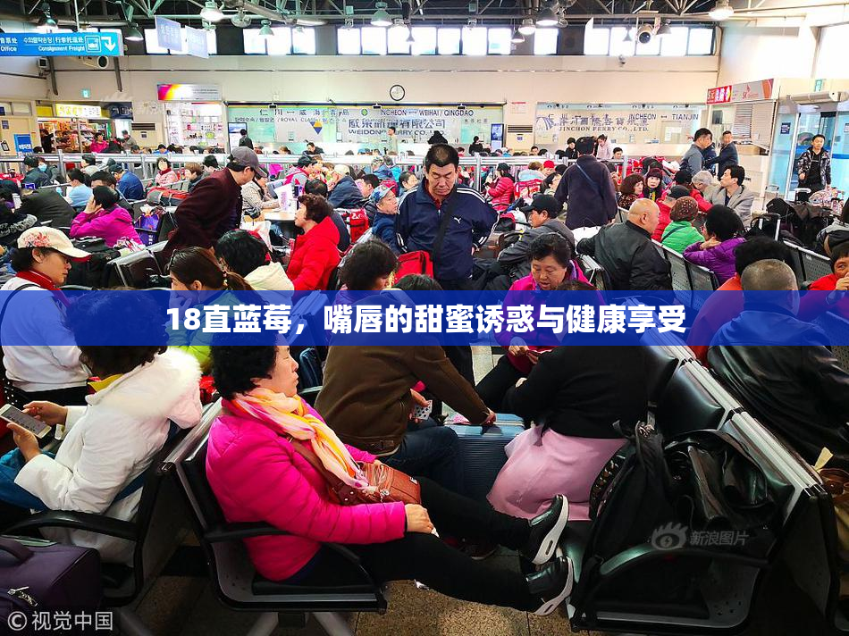18直蓝莓，嘴唇的甜蜜诱惑与健康享受