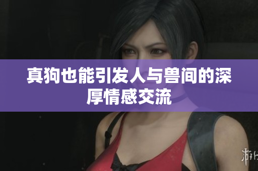 真狗也能引发人与兽间的深厚情感交流