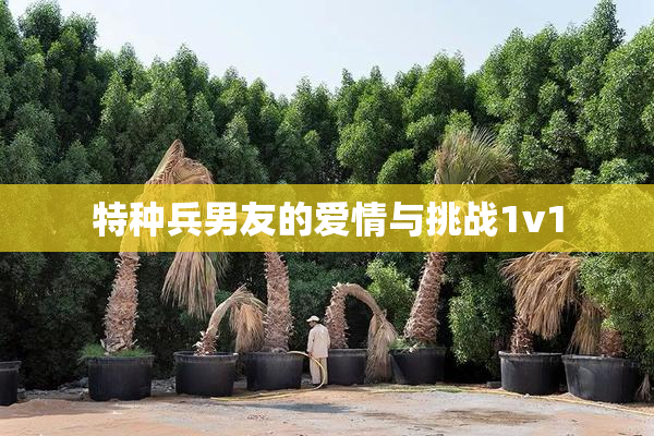 特种兵男友的爱情与挑战1v1