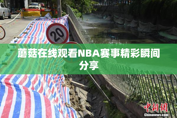 蘑菇在线观看NBA赛事精彩瞬间分享